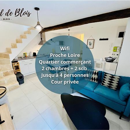 2 Suites, Cour Privee, Climatisation, Le Nid De Blois Vienne المظهر الخارجي الصورة