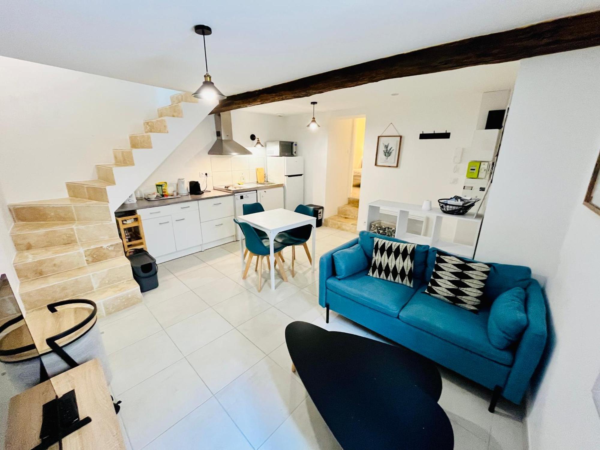 2 Suites, Cour Privee, Climatisation, Le Nid De Blois Vienne المظهر الخارجي الصورة