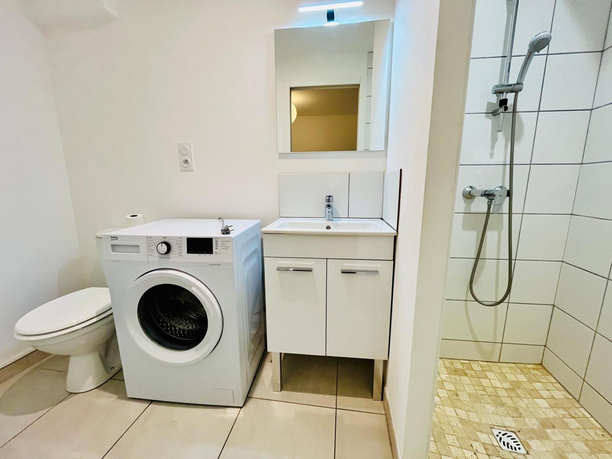 2 Suites, Cour Privee, Climatisation, Le Nid De Blois Vienne المظهر الخارجي الصورة