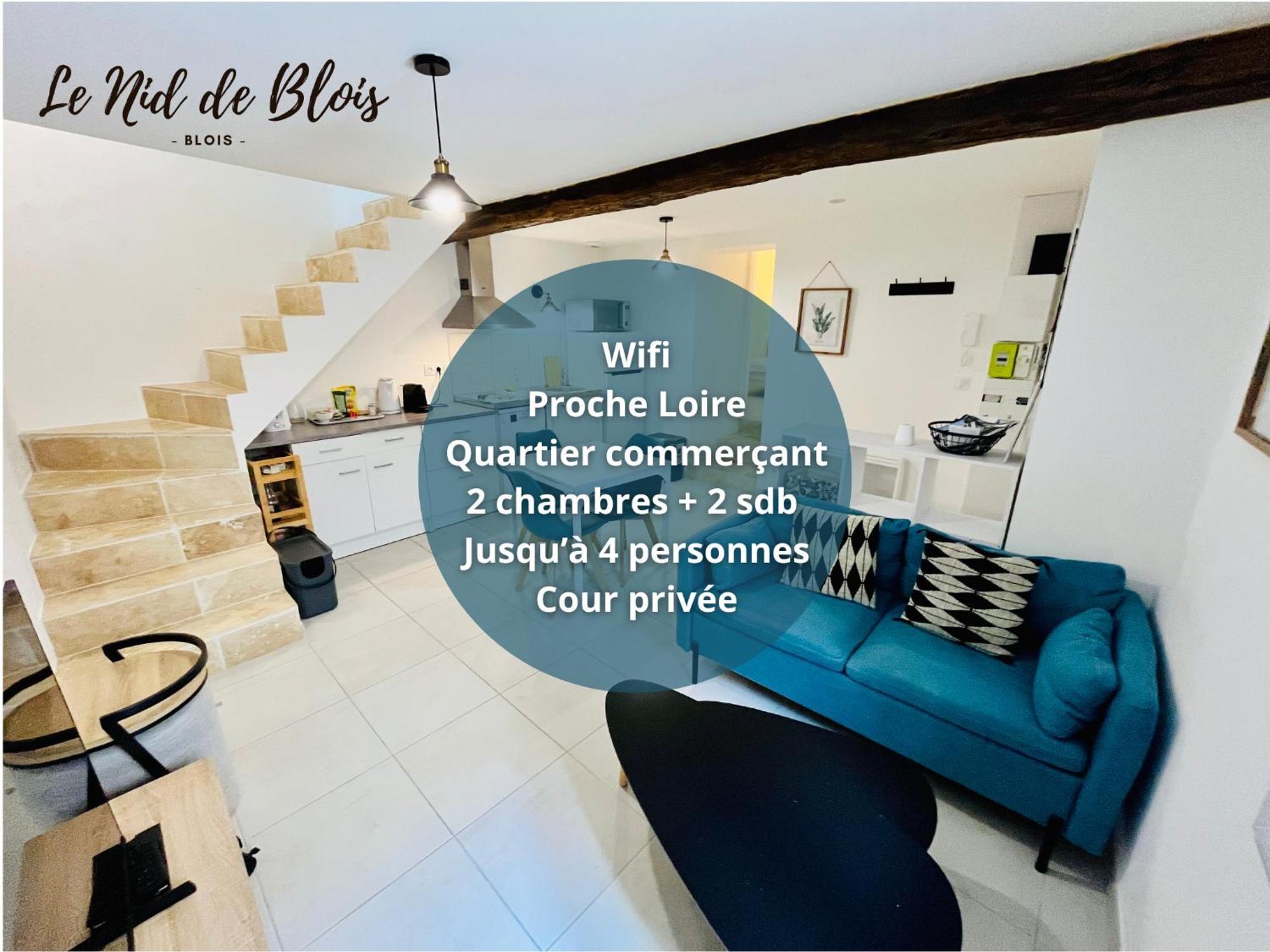 2 Suites, Cour Privee, Climatisation, Le Nid De Blois Vienne المظهر الخارجي الصورة